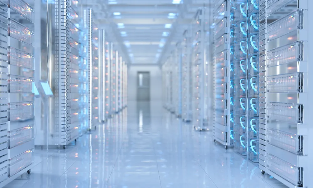 Role: Chief Financial Officer – Construction