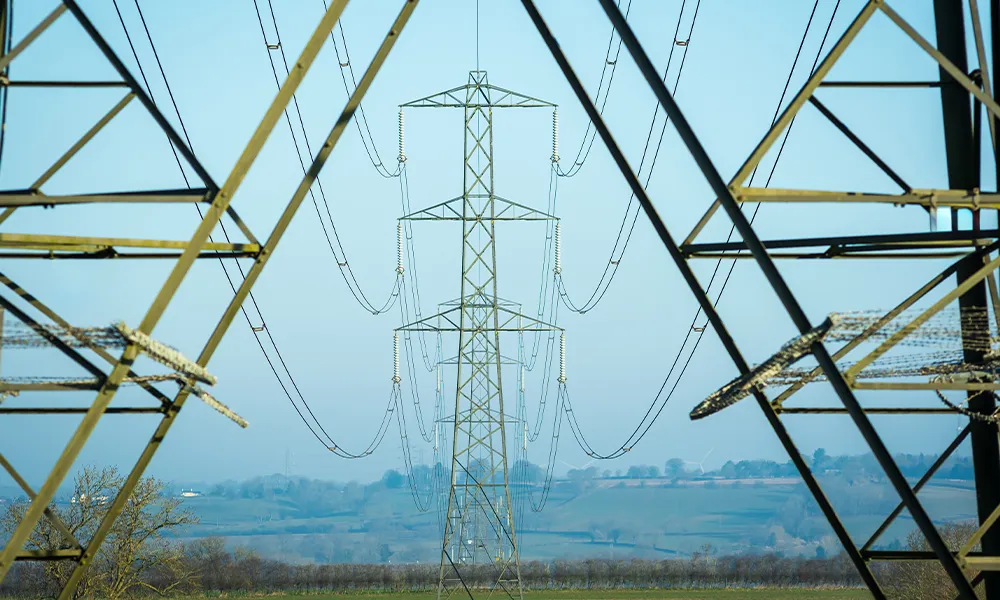 Role: Head of Transmission & Distribution